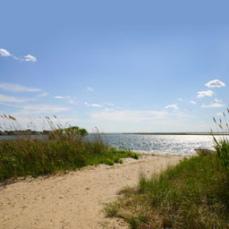 Taking Steps to Save Barnegat Bay