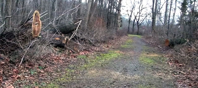 Clearing Storm Debris from the Appalachian Trail