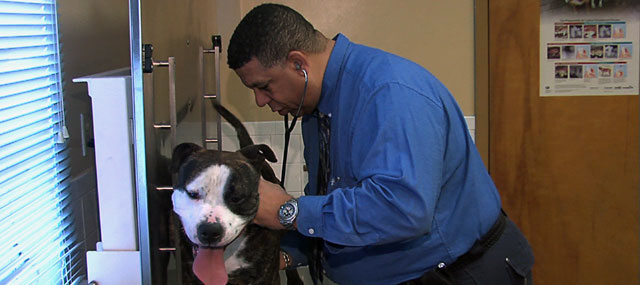 Maplewood Vet Helps NJSPCA Solve Crimes Against Animals