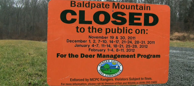 Deer Hunt Meant to Control Population; Some Say Policy is Flawed