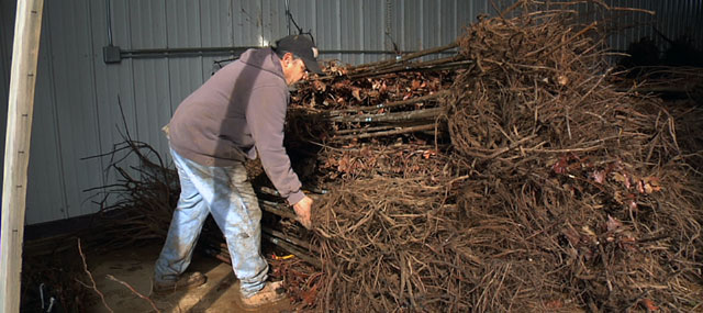 Nurseries Hurt By Lack of Home Construction