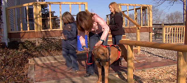 Dog Whisperer Helps Special-Needs Children
