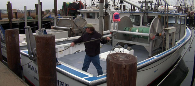 Protection of Atlantic Sturgeon Worries Fishing Industry