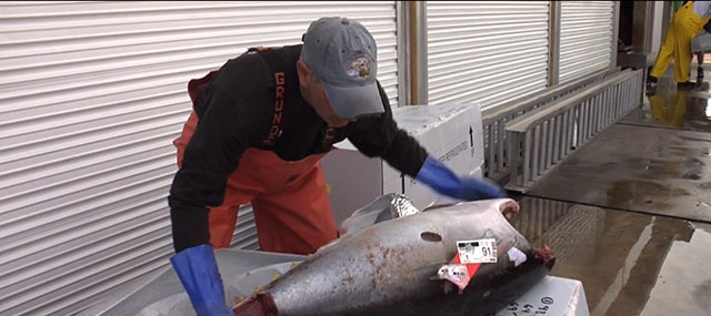 Fishermen Seek Loosening of Federal Restrictions