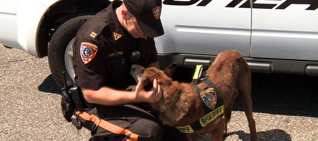 New Legislation Would Impose Stricter Penalties for Harming, Threatening Police Dogs