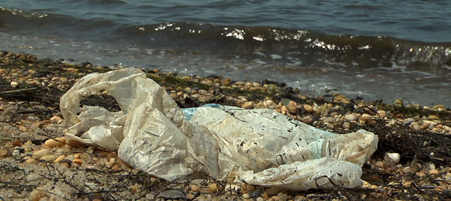 Lawmakers Hold Hearing to Repair Barnegat Bay