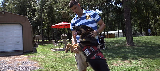 Service Dogs Help Veterans Suffering From PTSD