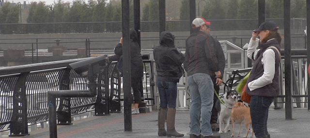 Despite Warnings, Sandy Brings Out Hudson County Onlookers