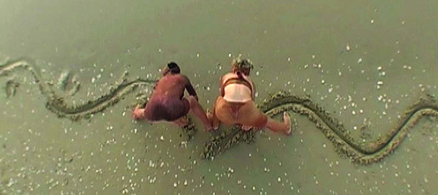 Video Art from the Middle East: Personal and Political