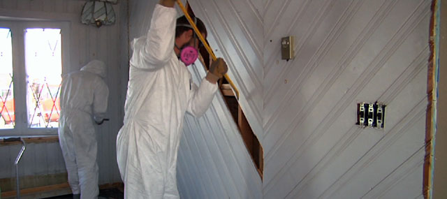 Spring Breakers Head to the Beach, Not to Florida But to Jersey Shore, to Help In Sandy Rebuild