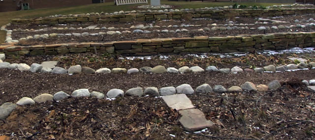 Cultivating Sustainable Relationships: A Seton Hall Garden is a Study of the Marriage Between Humans and the Environment