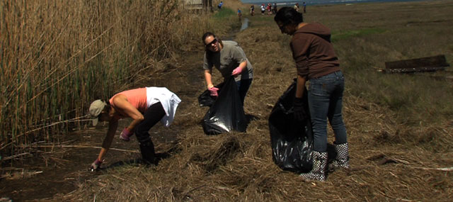 Barnegat Bay Blitz Volunteers Clean Up Watershed