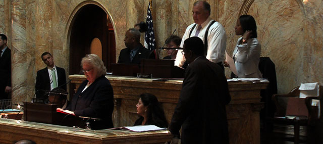 10 Gun Control Bills Pass in Senate Along Party Lines