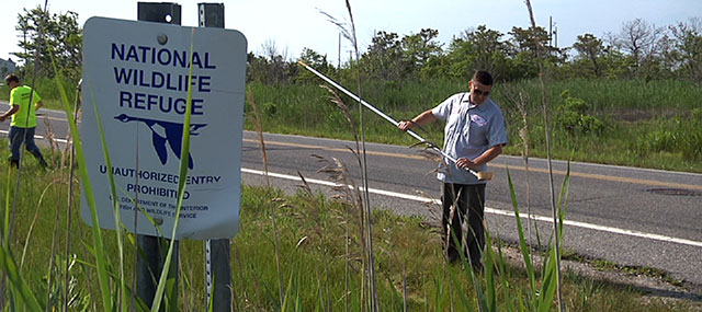Officials Worry Effects of Hurricane Sandy Will Increase Mosquito Population, Cases of West Nile Virus
