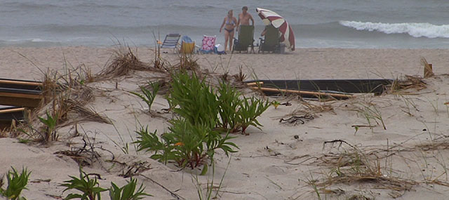 Island Beach State Park Fully Reopens After Hurricane Sandy