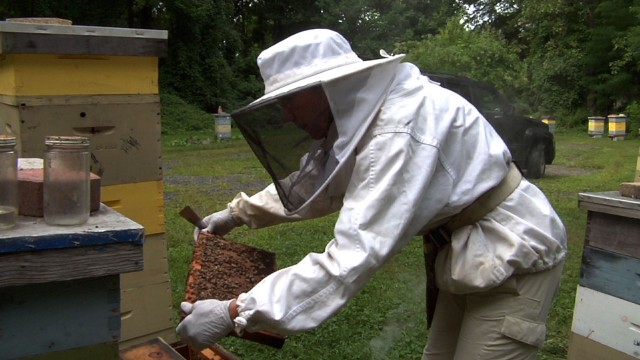 NJ Beekeepers Hope for Better Future After Having Worst Winter Season