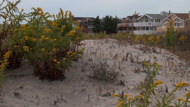 Ocean City Moves Forward with Eminent Domain Proceedings to Get Easements for Beach Replenishment
