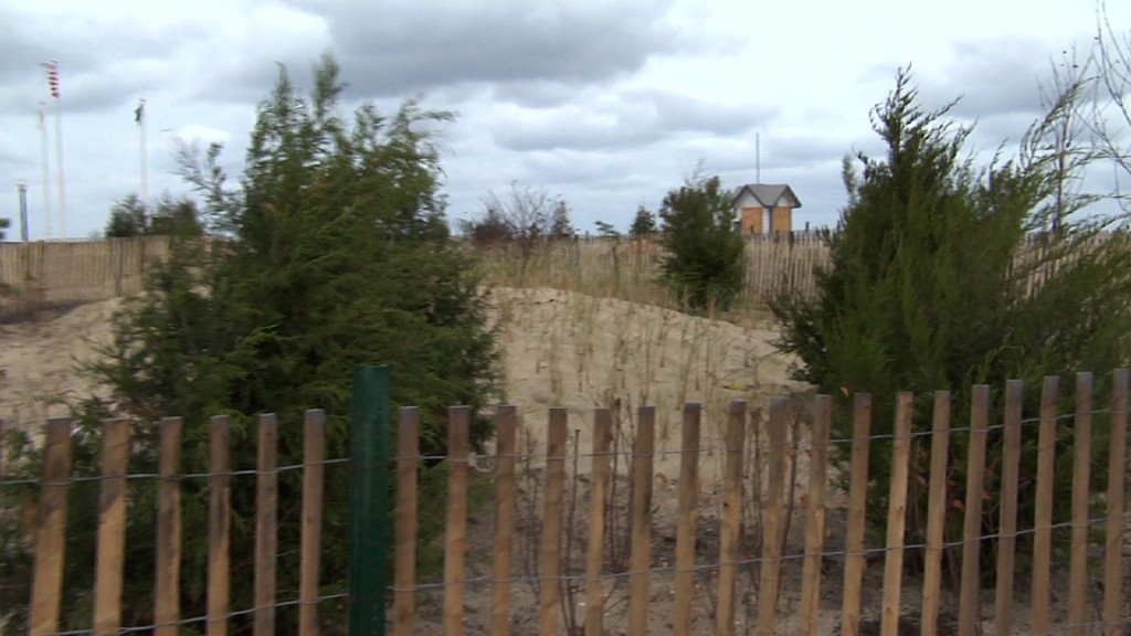 Maritime Forest Aims to Protect Property from Strong Storms