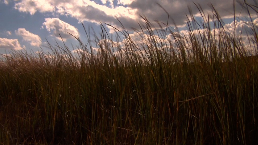 Oceanville Wildlife Refuge to Get Sandy Relief Money