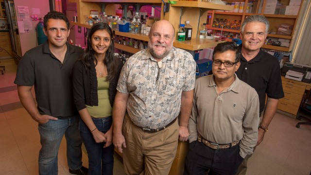 Rutgers Scientists Discover Molecules that Show Promise for New Anti-Flu Medicines