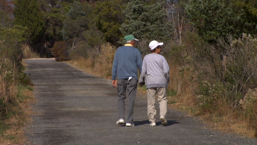 Visitors to Cattus Island County Park Take in Fall Foliage