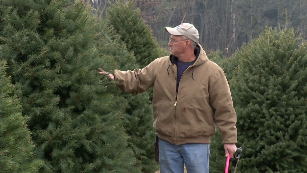 NJ Christmas Tree Farm Wins Contest, Has Trees at White House
