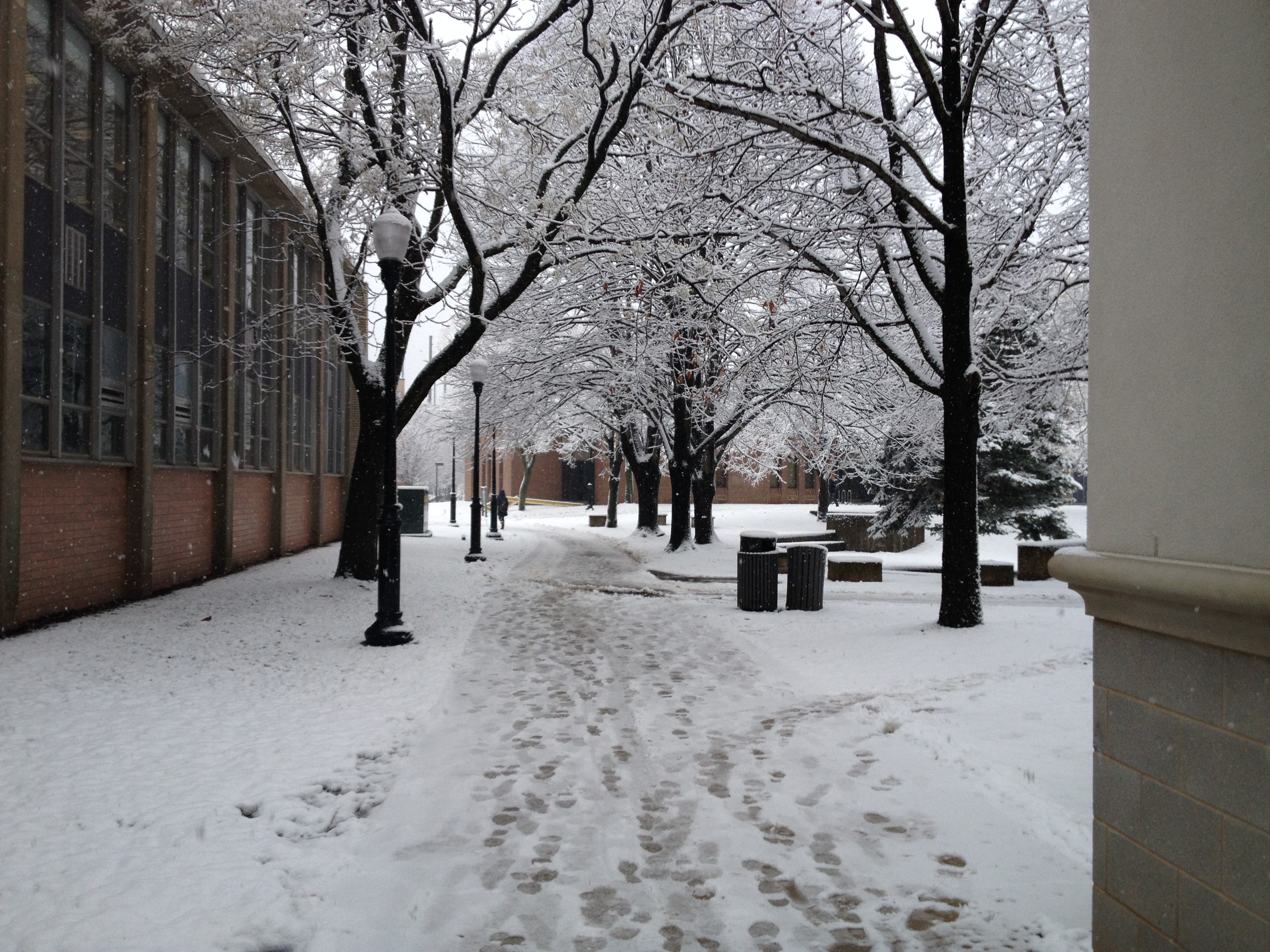 Storm Blankets New Jersey with Snow
