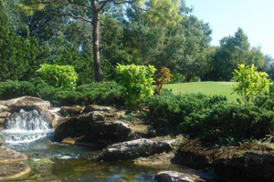 Will Trump’s Clean-Water Rollback Imperil NJ’s Small Streams, Wetlands?