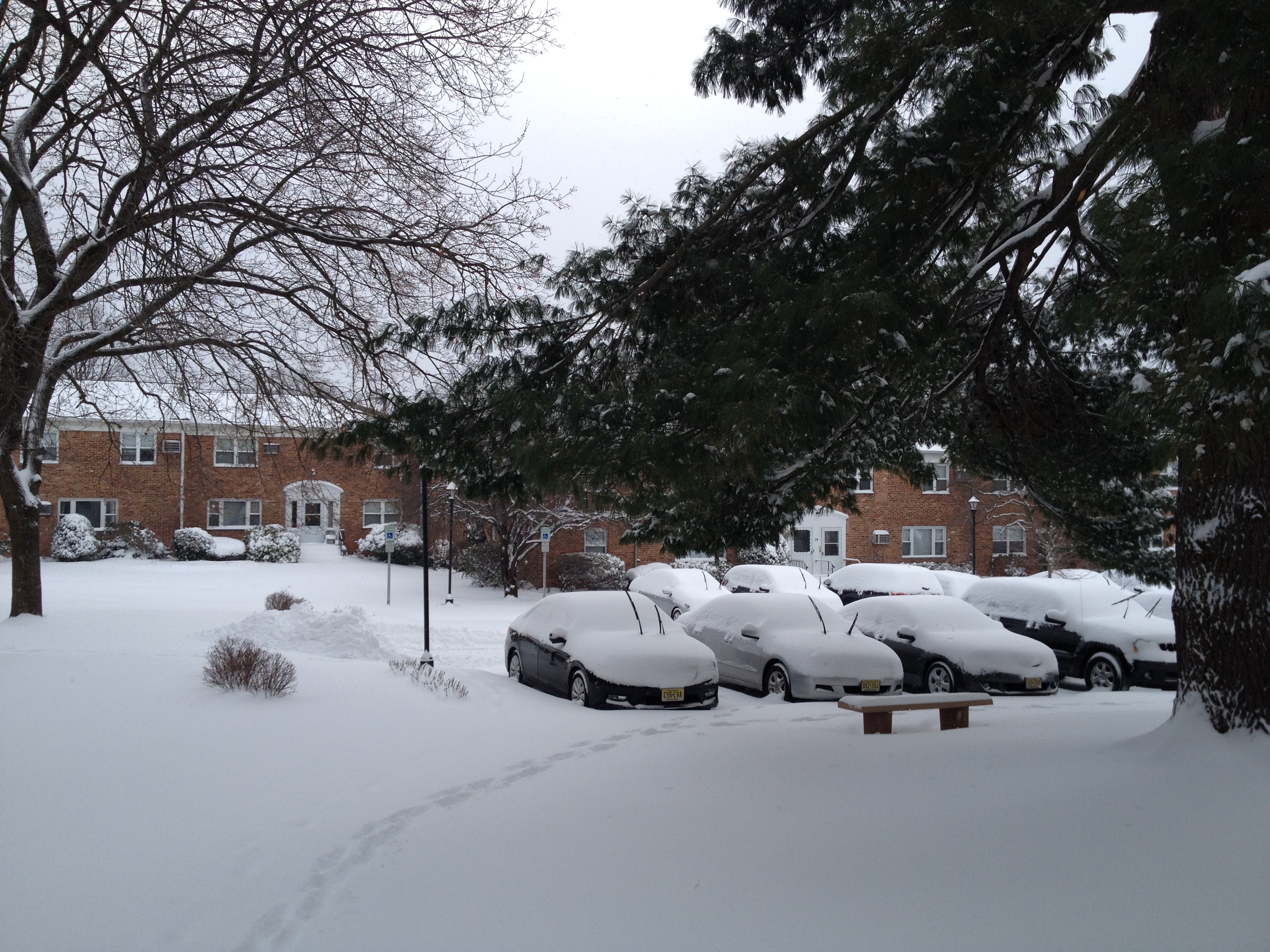 Winter Blast Closes Schools, Slows Travel