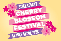 Essex County Prepares for 38th Annual Cherry Blossom Festival