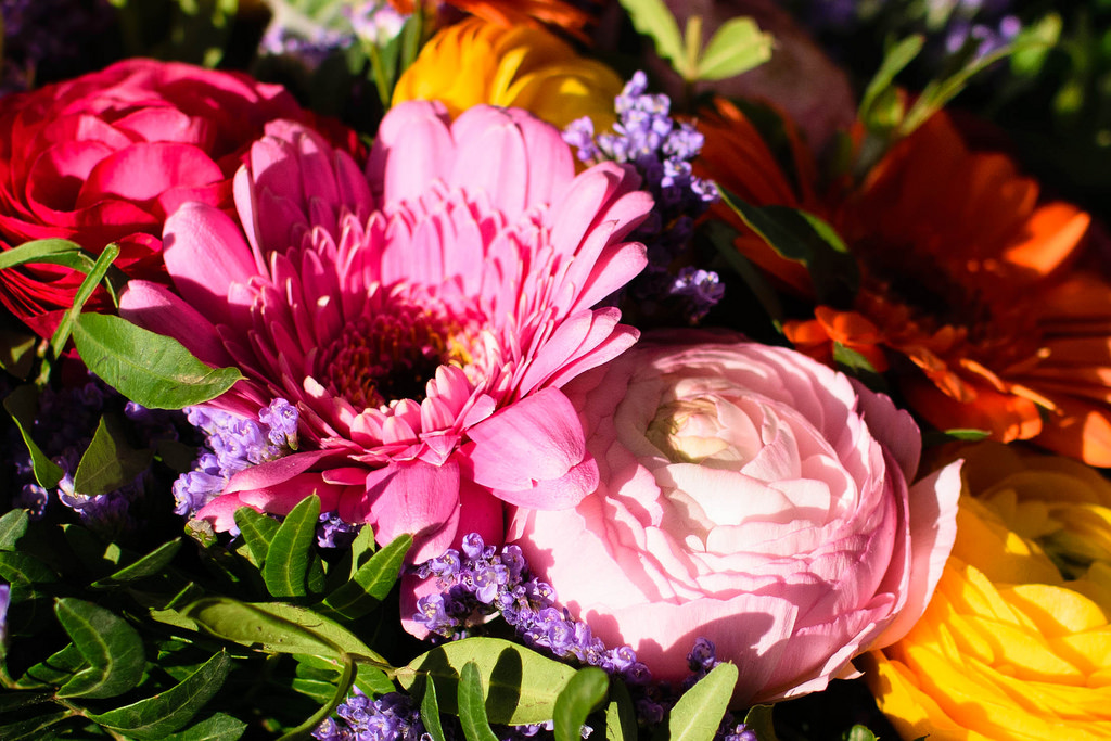 Mother’s Day 2014 Events in NJ