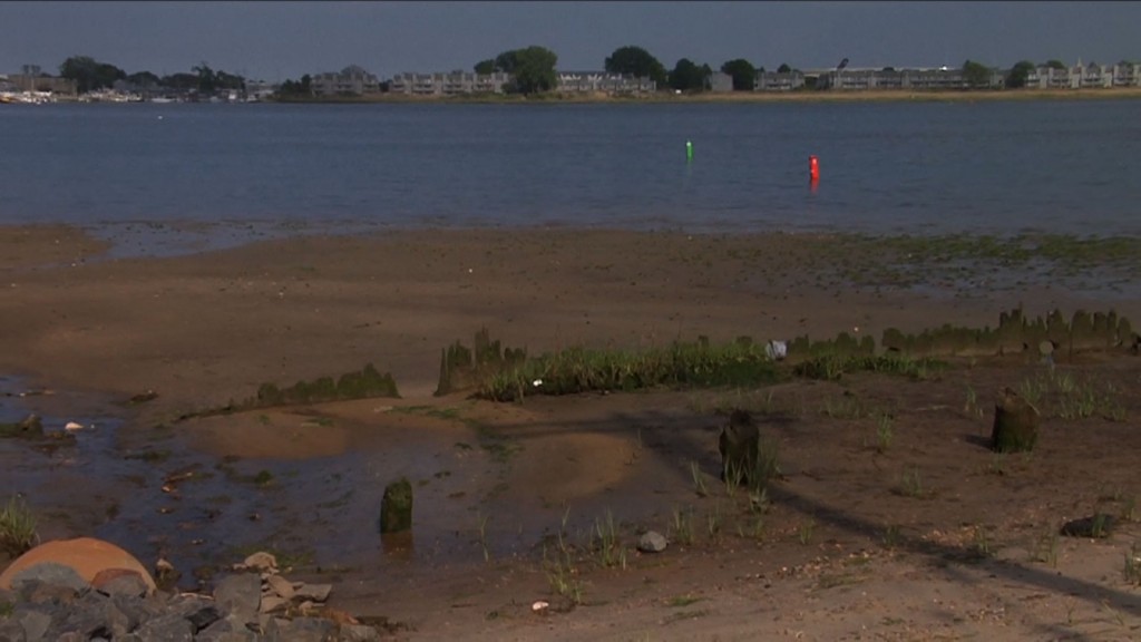 Officials Hope to Dredge Shark River