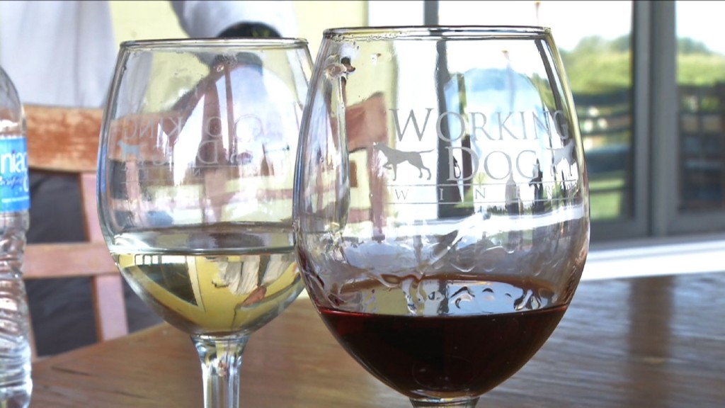Celebrating New Jersey Wine Week