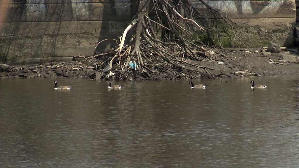 Environmentalists Upset with Plans to Divert Passaic River Funds