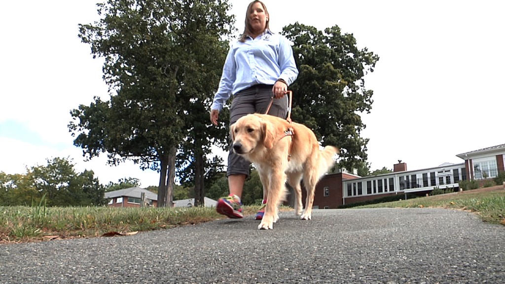 The Seeing Eye Trains Guide Dogs for Visually Impaired
