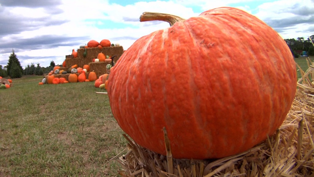 All Things Fall in New Jersey