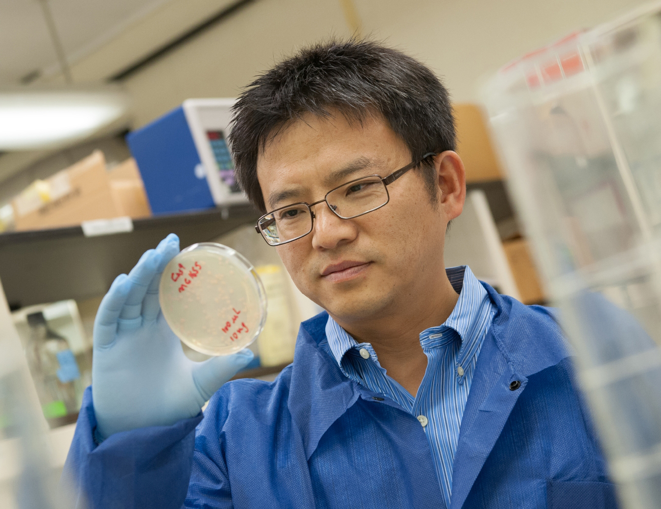 Attacking Type 2 Diabetes from a New Direction with Encouraging Results