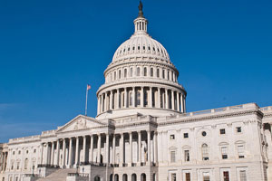 New Jersey’s Midterm Congressional Contest Attracts 51 Contenders