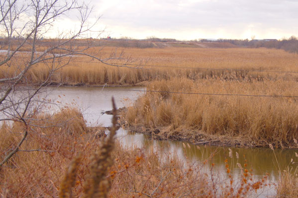 Proposal Would End Sharing of Taxes by Communities in the Meadowlands Region