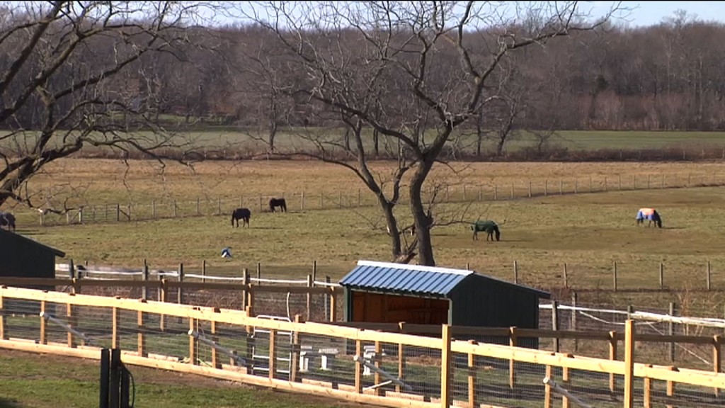 Preservation Program Protects NJ Farmland