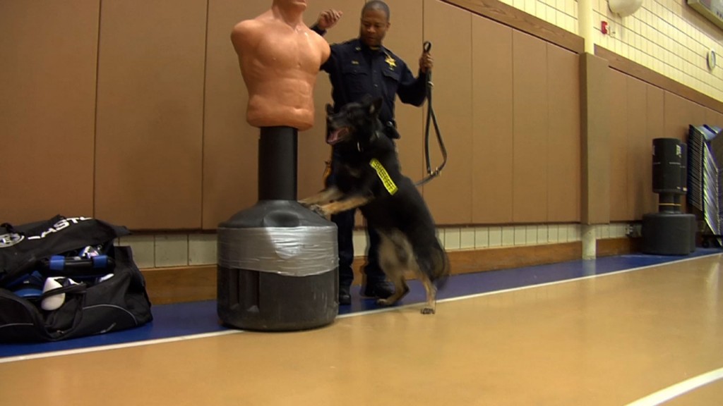 Training K-9s to Assist Monmouth County Law Enforcement