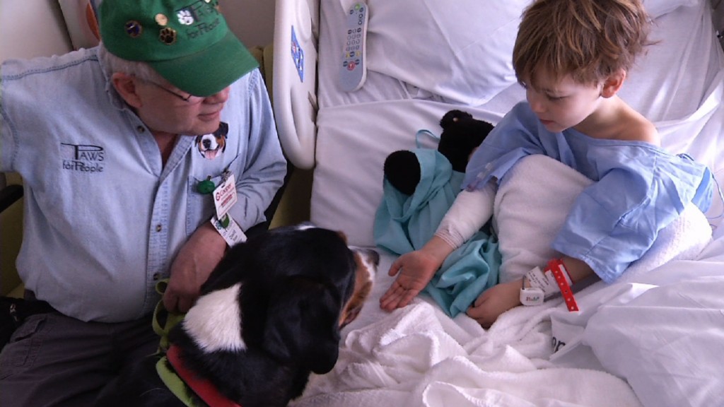 Using Dogs to Help Calm Patients