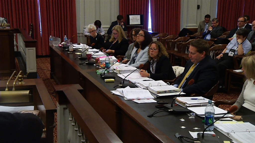 Dept. of Human Services Issues on Display at Budget Hearing