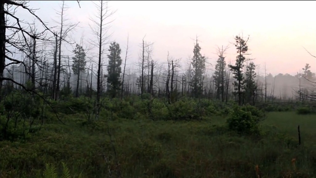 DEP Evaluates South Jersey Gas Pipeline Route Through Pinelands