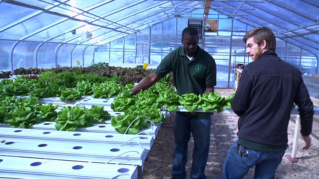 Growing New Jobs in Newark for Veterans