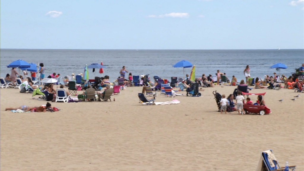 Should You Worry About Shark Attacks at the Jersey Shore?
