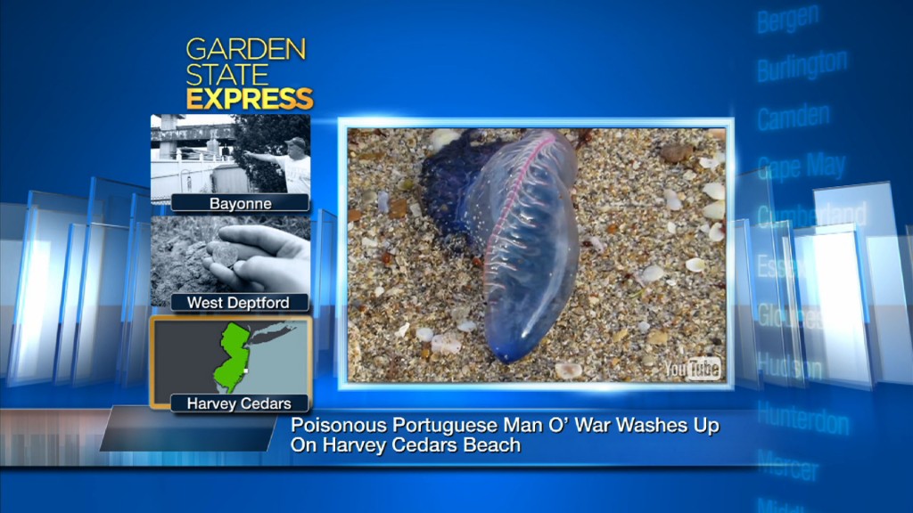 June 22, 2015: GSX – NJTV News