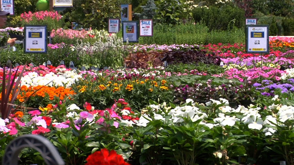 Horticulture Industry is Largest Sector of NJ Agriculture