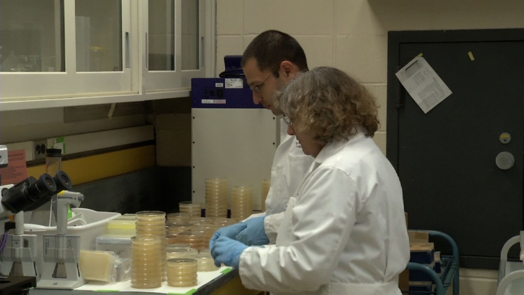 Using Bacteria to Fight Drug Resistant Diseases