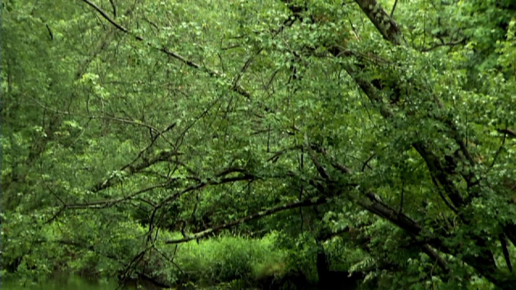 Battle Over Pinelands Pipeline Continues